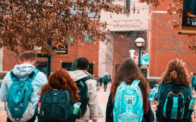 Quelle fac choisir à Colmar pour faire ses études de commerce ?