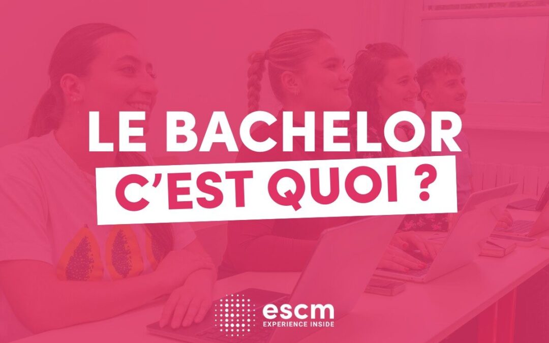 Qu'est-ce que le Bachelor