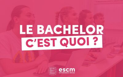 Qu’est-ce qu’un Bachelor ? Tout savoir sur ce diplôme !