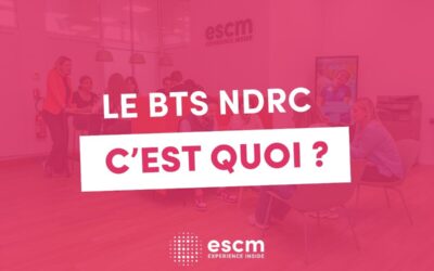 Le BTS NDRC c’est quoi ? Définition, programme et alternance
