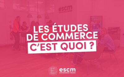 Choisir les études de commerce pour votre future carrière