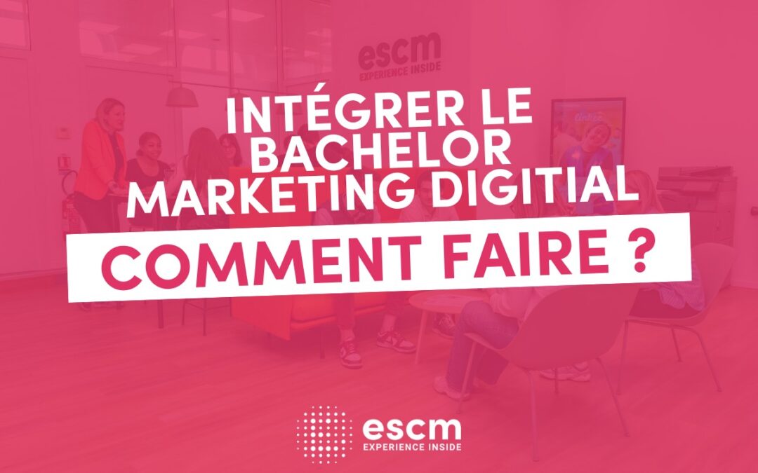 Pourquoi s’orienter vers un bachelor marketing digital pour travailler dans le web ?