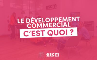 Se former au développement commercial