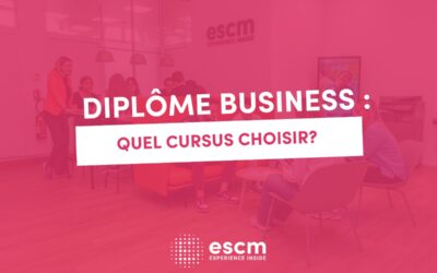 Diplôme business : quel cursus choisir pour réussir sa carrière ?