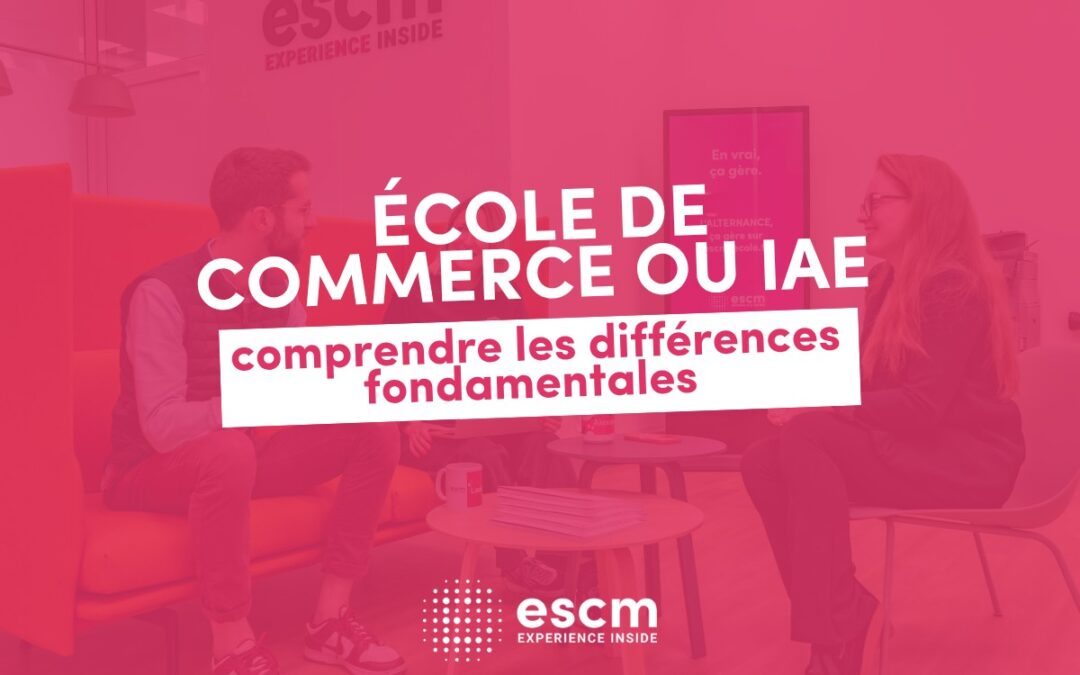 Vignette : école de commerce ou IAE