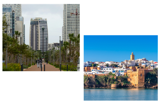 Partenariat ESCM - IMBT - Toledo Consulting