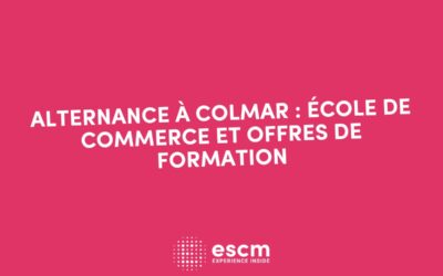 Alternance à Colmar : votre formation en école de commerce garantie