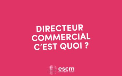 Le métier de directeur commercial