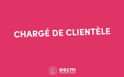 Chargé de clientèle : définition et enjeux stratégiques du métier