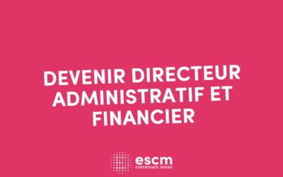 Directeur administratif et financier (DAF) : missions, salaire et formations
